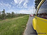 Zandlemig Vlaanderen